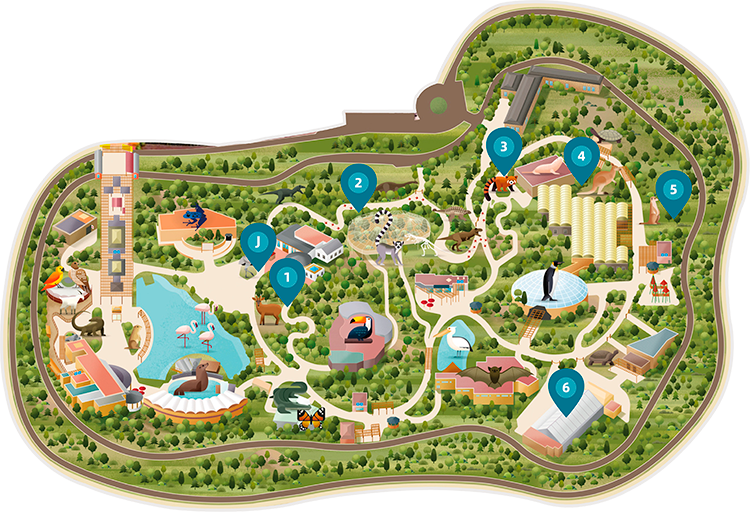 Mapa de Faunia con las ubicaciones de las huellas